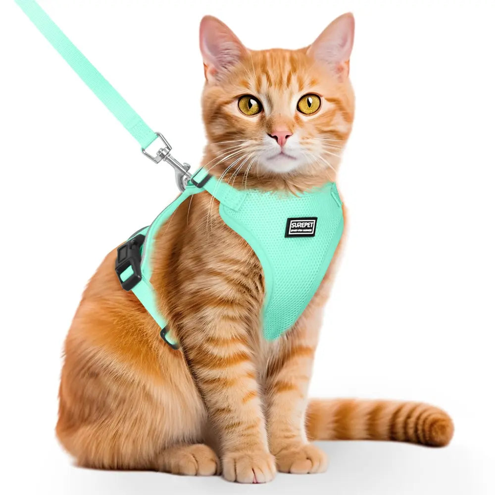 Cat Leash and Walking Lead, Adjustable Soft Harness Vest Anti-Escape for Cats, Easy Control Jacket with Reflective Strips and Breathable Design, Adjustable Safety Harness