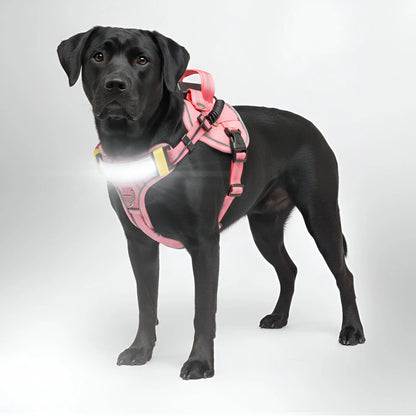 Lumi One Dog Harness - 1000-Lumen LED Light USB-C Rechargeable Adjustable Fit for All Breeds & Sizes Enhances Night Safety & Comfort 2025 Dog Product of the Year