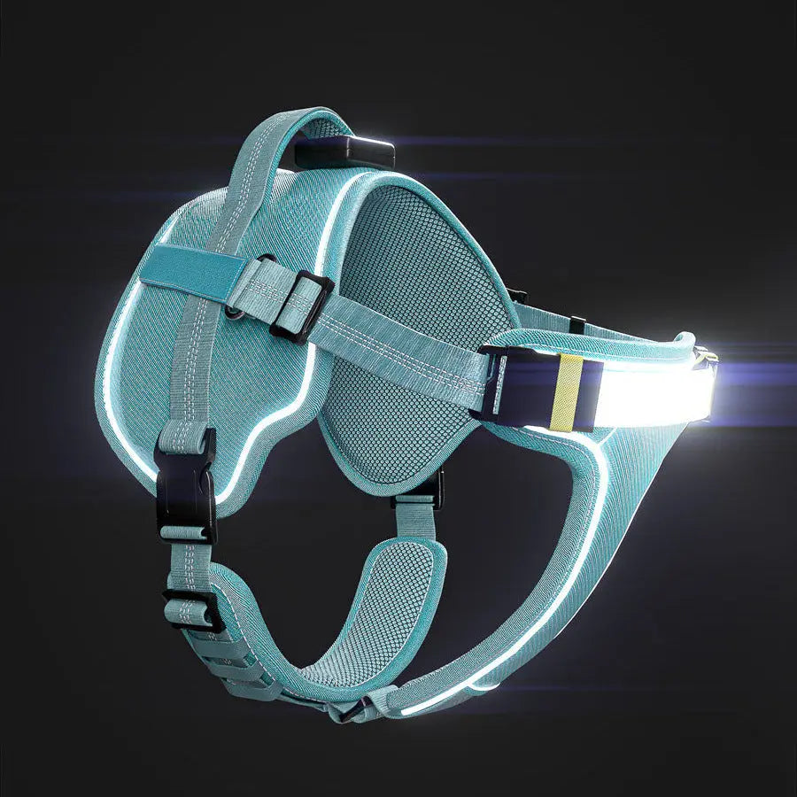 Lumi One Dog Harness - 1000-Lumen LED Light USB-C Rechargeable Adjustable Fit for All Breeds & Sizes Enhances Night Safety & Comfort 2025 Dog Product of the Year