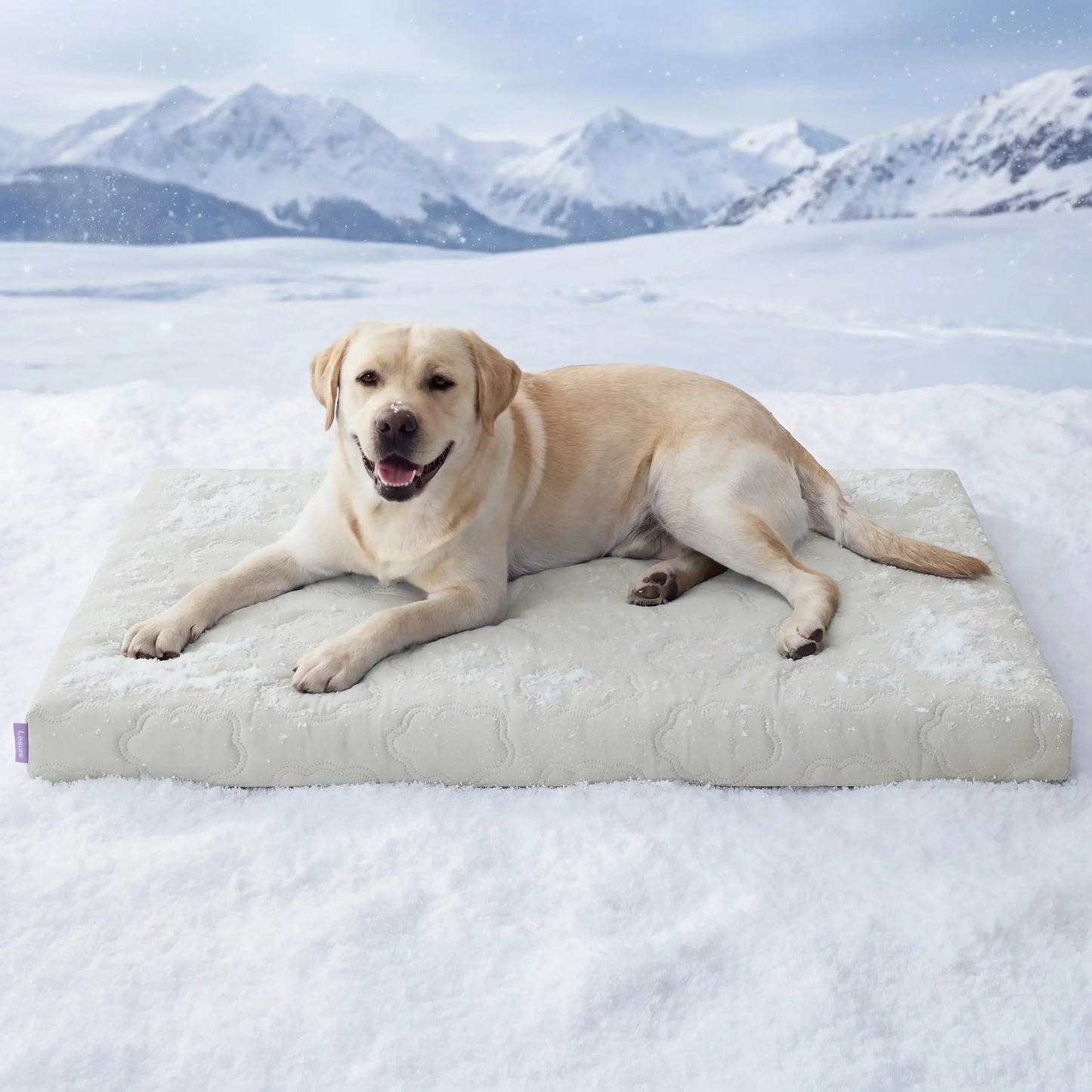 Bedsure Cooling Thin & Thick Mat for Dogs – Q-MAX>0.4 Washable Pet Cooling Pad, No Gel, No Electric, Non-Slip Summer Crate Bed for Large Dogs Summervibes