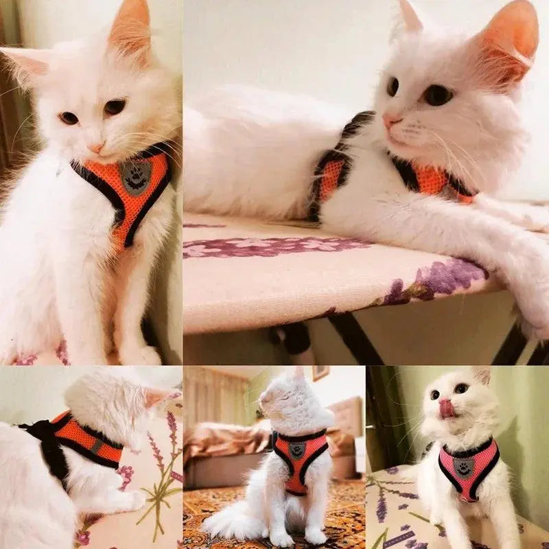 Adjustable Cat & Dog Harness with Lead Leash Breathable Mesh Vest,360 Swivel No Tangle Walking Leash,Reflective, Polyester for Small Pets(The Size Is Too Small, It Is Recommended to Take a Larger One.)