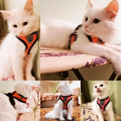 Adjustable Cat & Dog Harness with Lead Leash Breathable Mesh Vest,360 Swivel No Tangle Walking Leash,Reflective, Polyester for Small Pets(The Size Is Too Small, It Is Recommended to Take a Larger One.)