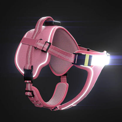 Lumi One Dog Harness - 1000-Lumen LED Light USB-C Rechargeable Adjustable Fit for All Breeds & Sizes Enhances Night Safety & Comfort 2025 Dog Product of the Year