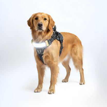 Lumi One Dog Harness - 1000-Lumen LED Light USB-C Rechargeable Adjustable Fit for All Breeds & Sizes Enhances Night Safety & Comfort 2025 Dog Product of the Year